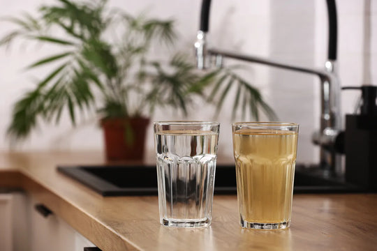 Water Softener vs Water Filter: Which One Do You Actually Need?