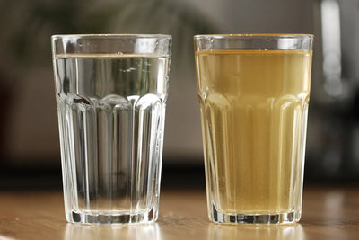 How Long Do Water Filter Pitchers Last? Cartridge Lifespan and Replacement Signs