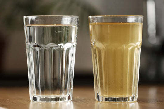 How Long Do Water Filter Pitchers Last? Cartridge Lifespan and Replacement Signs