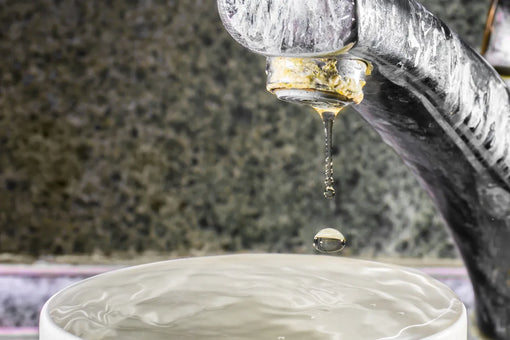 10 States With the Worst Tap Water in 2026 (and How to Protect Yours)