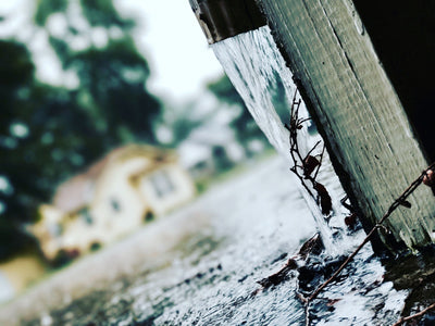 Is Rainwater Safe to Drink? What It Takes to Make Roof Water Drinkable