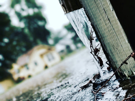 Is Rainwater Safe to Drink? What It Takes to Make Roof Water Drinkable