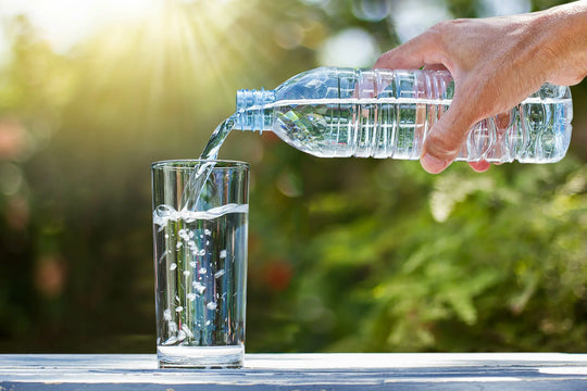 The Environmental Impact of Bottled Water (and What to Do About It)
