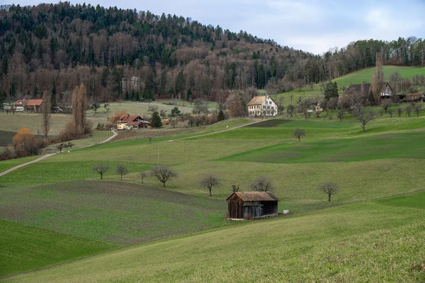 Rural countryside homes on a green hillside, the kind of properties that rely on a private well for their water