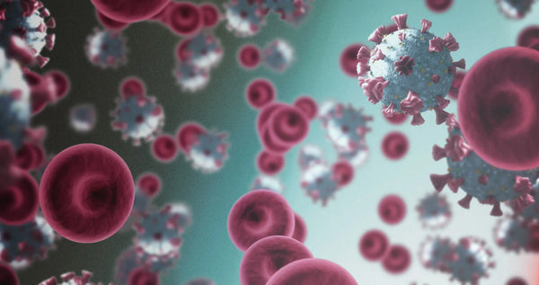 3D illustration of virus particles among red blood cells