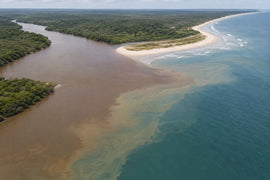 What Is Brackish Water? Salinity, Sources and Safety